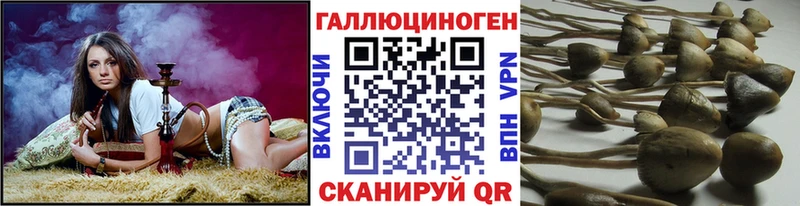 Галлюциногенные грибы GOLDEN TEACHER  маркетплейс клад  Кущёвская 